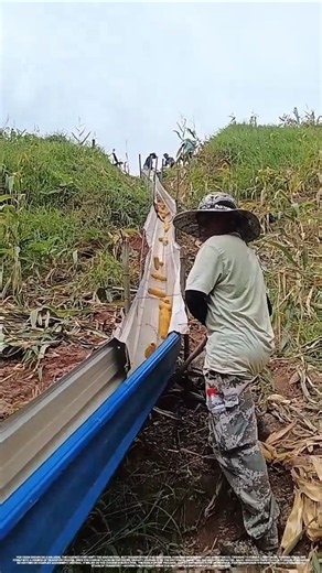 A Smart Way to Move Corn Downhill