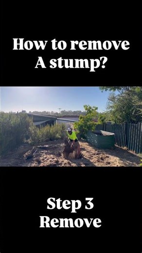 How to REMOVE a tree STUMP on the CHEAP