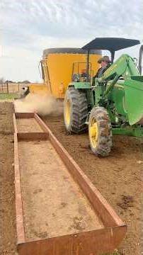 Feeding the feedlot steers