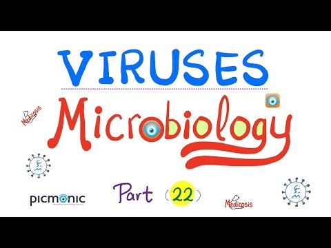 Picmonic Virology - RNA Viruses - Picornaviruses (Polio, Rhino, Coxsackie) - Microbiology (Part 22)