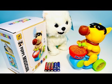 Unboxing Smart Interactive Samoyed Dog｜Swinging Big Duck, Puppy Drummer