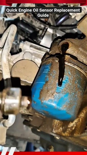 Quick Engine Oil Sensor Replacement Guide #shorts #mechanic