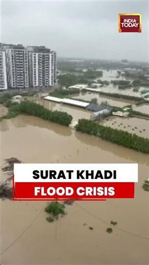 Surat Khadi Flood Crisis: Heavy Rain Leaves Several Areas Submerged #gujarat #floodalert #monsoon