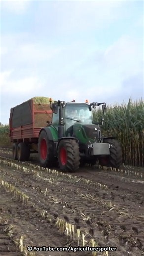 Mais Silage | Claas Jaguar 870 + Fendt + Deutz-Fahr | Donkersteeg | 2023