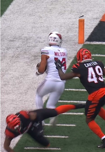 Arizona Cardinals: Insights from Michael Wilson