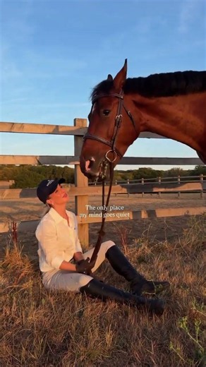 The purest souls 🤍 Equestrian | Horses | Country life