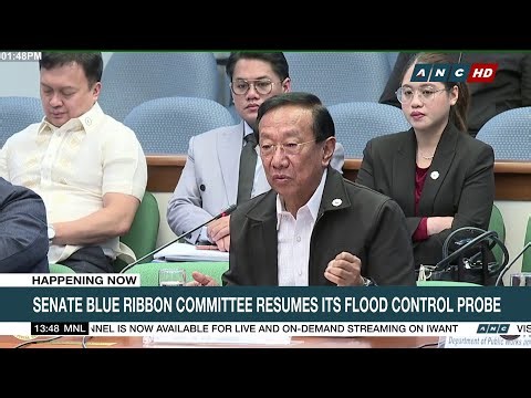 Bonoan sinabing kay Cabral galing ang maling coordinates ng flood control projects | ABS-CBN News