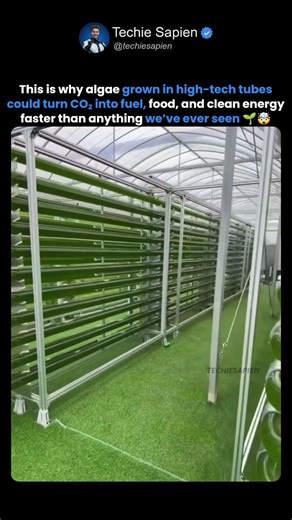 How Tubular Photobioreactors Grow Algae 10x Faster and Turn CO₂ Into Fuel, Food & Clean Energy 🌱⚡