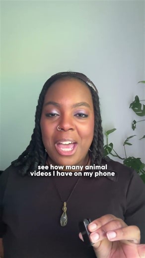 This Is What Happens When You Work At The Dodo | The Pack