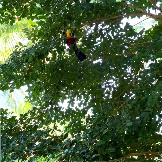 Destino paradisíaco pé na areia! Inspirando novas emoções o DPNY com seu requinte cheio de personalidade é um ícone da hotelaria e gastronomia mundial que incorpora luxo, conforto, tranquilidade, segurança, serviço de excelência e paisagens naturais incríveis. Localização privilegiada próximo à São Paulo, venha desfrutar deste paraíso e crie memórias! 📍Localizado na Praia do Curral - Ilhabela - Litoral Norte de São Paulo. 🌐 Reserve agora em até 12x, link na Bio. 📲 Telefone/ WhatsApp (12) 3894