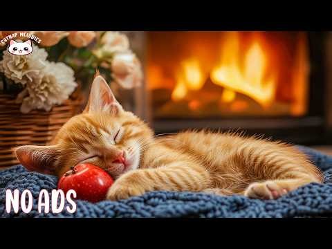🔴 12 HOURS of Calming Music for Anxious Cats 🐱 Calm Peaceful Space for Anxiety Relief & Better Sleep