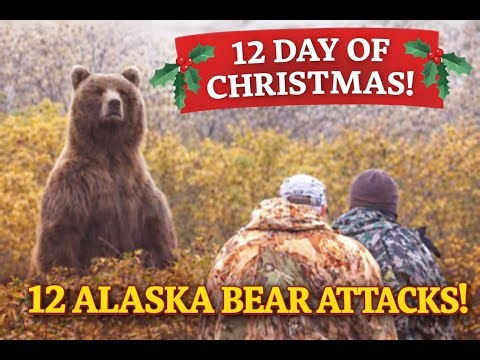 12 Alaskan Bear Attacks That Nearly Turned Fatal | True Survival Stories