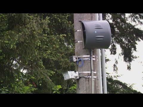 Traffic camera program in Milton generates $800K