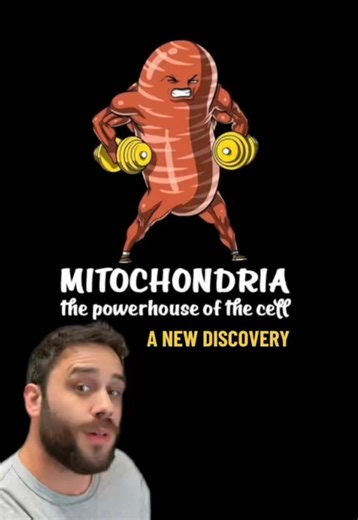 Biology 101 | Mitochondria is the powerhouse of the cell… and it’s EXTREMELY under appreciated #evolution #biology #LearnBiologyOnTikTok #science #scienceteacher