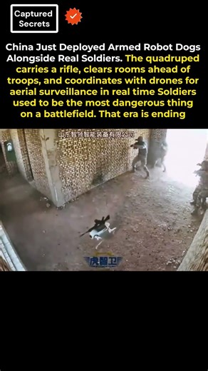 China's Armed Robot Dog Just Entered Real Combat Drills With Soldiers and Drones — The Future of War
