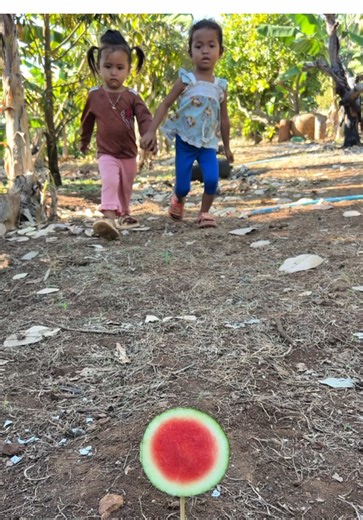 Survival Skills: SMART idea and USEFUL With watermelon in forest #tiktok #bushcraft #camping #outdoors #survival