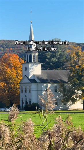 Years of chasing fall in New England, and I’m still not over it. 🍂 I still want one more drive with the windows down and fall colors everywhere. One more walk with leaves crunching under my feet. One more day before the leaves come down. What I love about this season is how it makes familiar places feel new. A road you barely noticed in July becomes somewhere you could spend an entire afternoon. These clips are from the Litchfield Hills in Connecticut. Exploring here last week opened my heart i