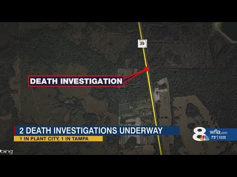 2 separate death investigations underway in Hillsborough County