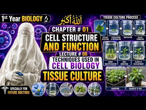 Tissue Culture Explained | Class 11 Biology | Chapter 1 | Lecture 06 | MindMeetsBiology360 #science