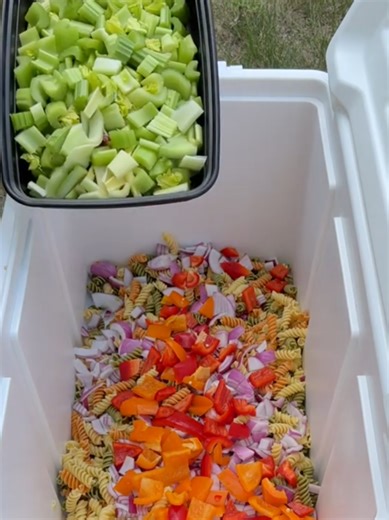 Delicious Best Pasta Salad Recipe for Home Cooking