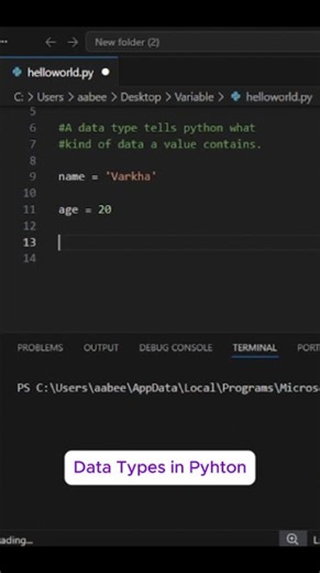 What Are Data Types in Python? – Quick & Easy! Common Python Terms