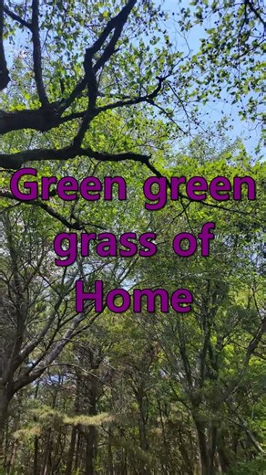 ○ Green Green Grass Of Home - Tom Jones ○ #7080 #pop #Old Song #Music #추억의팝송