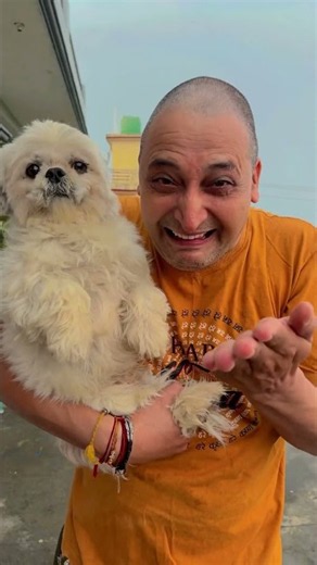 Cute Doggy Funny Short ❤️🐶! #doggymasti