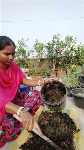 How to make compost soil #foryou #gardening #gardeningideas #