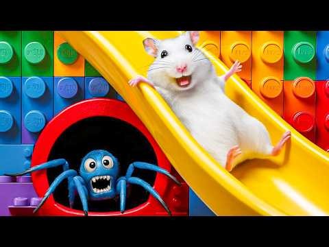 🐹 Hamster Escapes the Epic Volcano Maze in Real Life #hamsterescape #mazediytraps