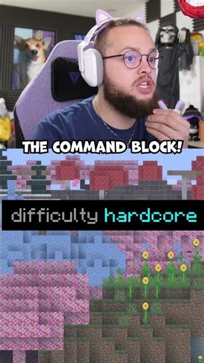 Thank You for Stating the Obvious Stan...