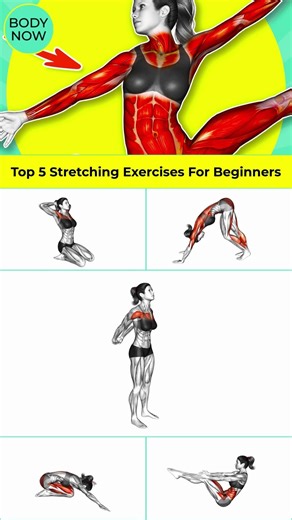 ➜ Top 5 Stretching Exercises For Beginners 🌿