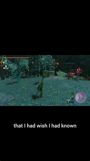 One of the BEST TOTK TipsBottom: Muddle Bud = Easy Wins