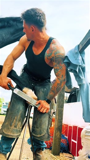 Understanding Farrier Care for Horses