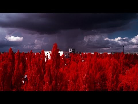 What Chernobyl Did to Nature Was Worse Than Scientists Predicted