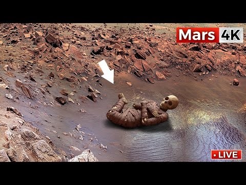 Mars 360 Degree View from Perseverance Rover | Red Planet Virtual Reality Tour