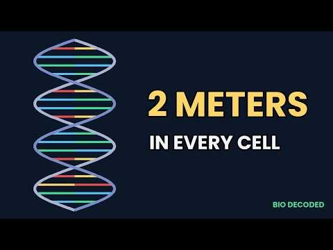DNA Structure Explained (Made Easy) | Nucleotides, Base Pairing & the Double Helix
