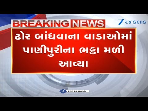 SHOCKING! Panipuri kilns found in cattle pens in Patan, PDS grams seed, salt seized in Patan