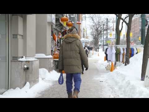 Toronto Transit Commission (TTC)