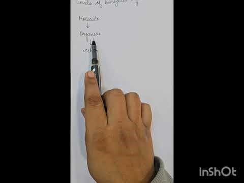 What is Life? | Levels of Biological Organization | Biology Basics