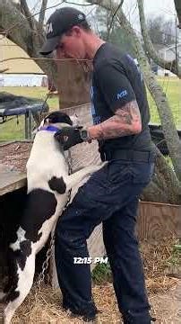 A Day Saving Animals (You Won’t Believe This) 🐾