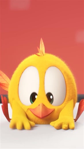 The orchestra is out #chicky | Chicky Cartoon in English for kids