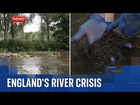 New data reveals the shocking state of England's rivers