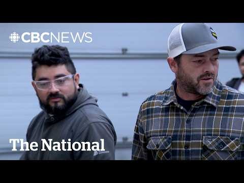 Alberta farmers worry referendum immigration changes could disrupt workforce