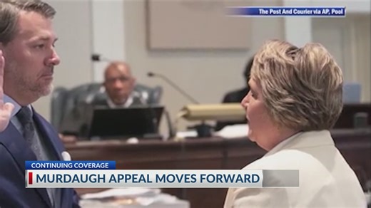 Court agrees to include former clerk of court’s plea in Murdaugh appeal