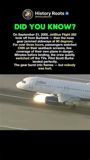 They Watched Their Own Crash #history #facts