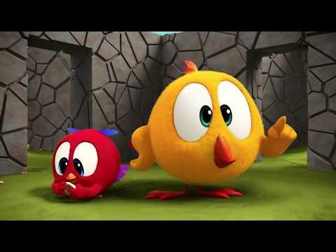 Lost in the Maze! | Where's Chicky? | Cartoon Collection in English for Kids | New episodes