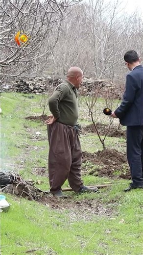 ئەمساڵ بەهۆی سەرما و تەزرە زۆرێك لە دارەكان بەرهەمیان نابێت