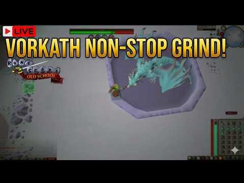 MELTING THE KALPHITE QUEEN! 🔥 | High Efficiency KQ Grind | OSRS Live