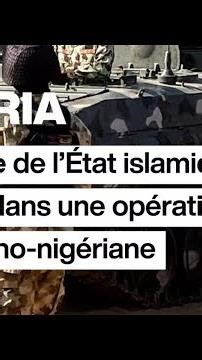 Nigéria : un cadre de l’État islamique éliminé dans une opération américano-nigériane