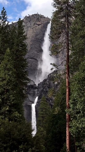 Spring in Yosemite National Park⛰️🌿